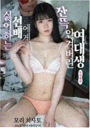 回声档案纪录片封面